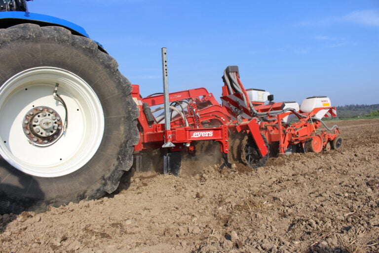 Leiserag Evers Maissaat Auf Daemmen Dammprofi 6